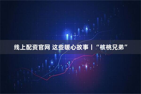 线上配资官网 这些暖心故事丨“核桃兄弟”