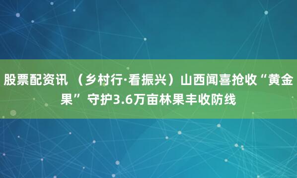 股票配资讯 （乡村行·看振兴）山西闻喜抢收“黄金果” 守护3.6万亩林果丰收防线