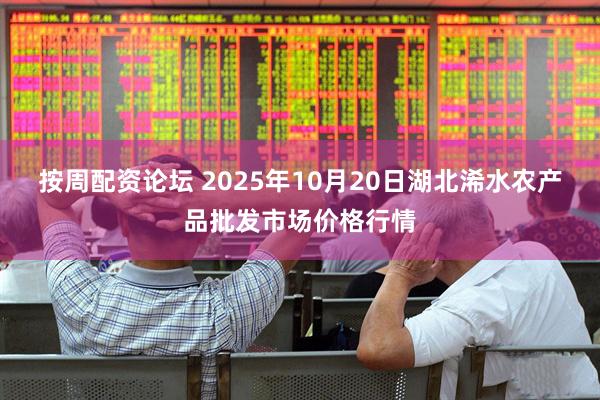 按周配资论坛 2025年10月20日湖北浠水农产品批发市场价格行情