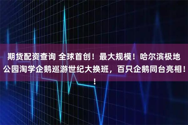 期货配资查询 全球首创！最大规模！哈尔滨极地公园淘学企鹅巡游世纪大换班，百只企鹅同台亮相！