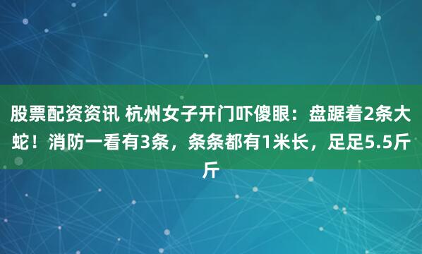 股票配资资讯 杭州女子开门吓傻眼：盘踞着2条大蛇！消防一看有3条，条条都有1米长，足足5.5斤